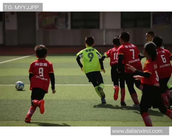 足球星途揭秘：从草根到巅峰的奋斗与荣耀之路