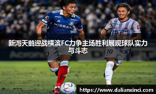 DB视讯平台DB视讯官方网站