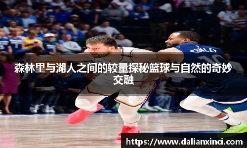 DB视讯平台DB视讯官方网站